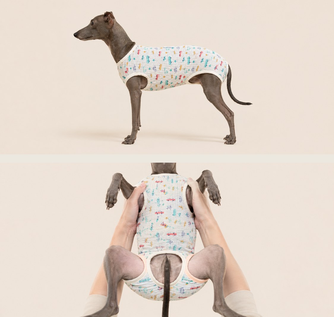 女狗狗无袖包肚绝育术后服宠物纸样 — Dog_Recovery_Suit_stitched_1783577432170