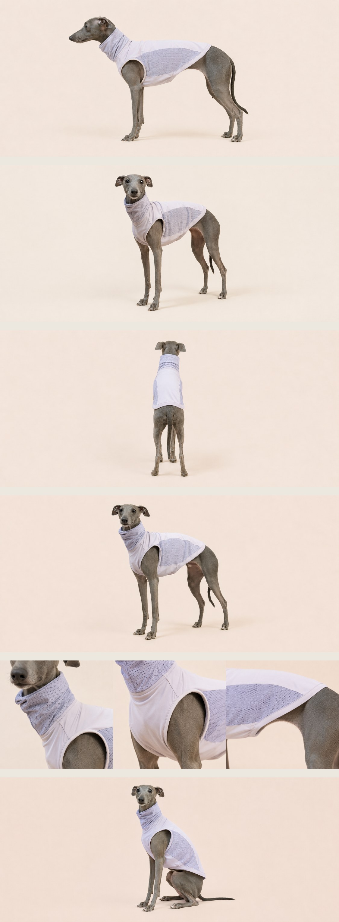 运动背心宠物纸样 — Sports_tank_top_stitched_1783072684190