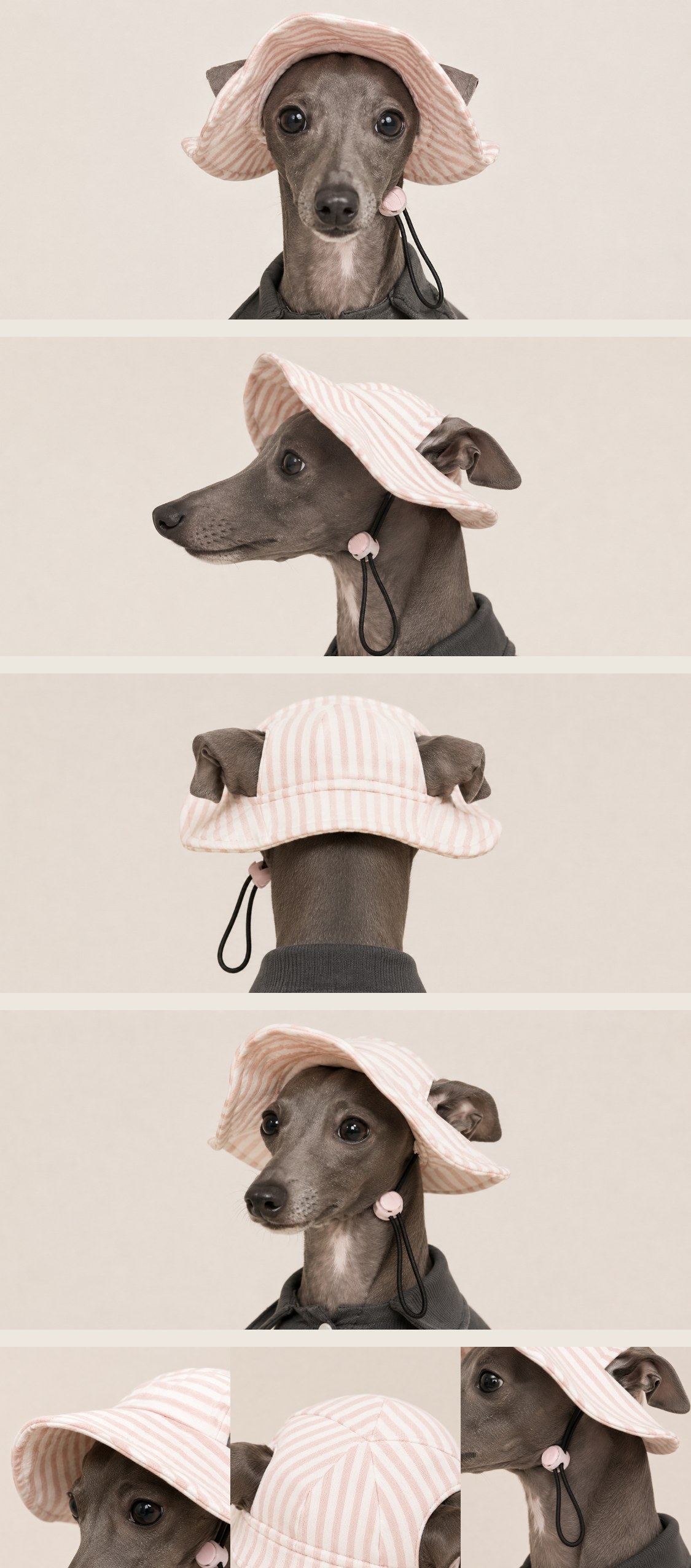 宠物防晒帽(基础款)宠物纸样 — basic_pet_sun_hat_stitched_1783577291846