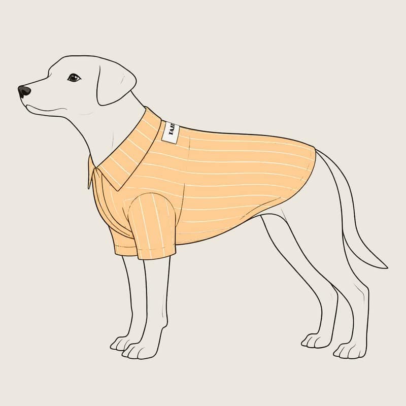 翻领休闲衬衫宠物纸样 — casualshirt_detail_01