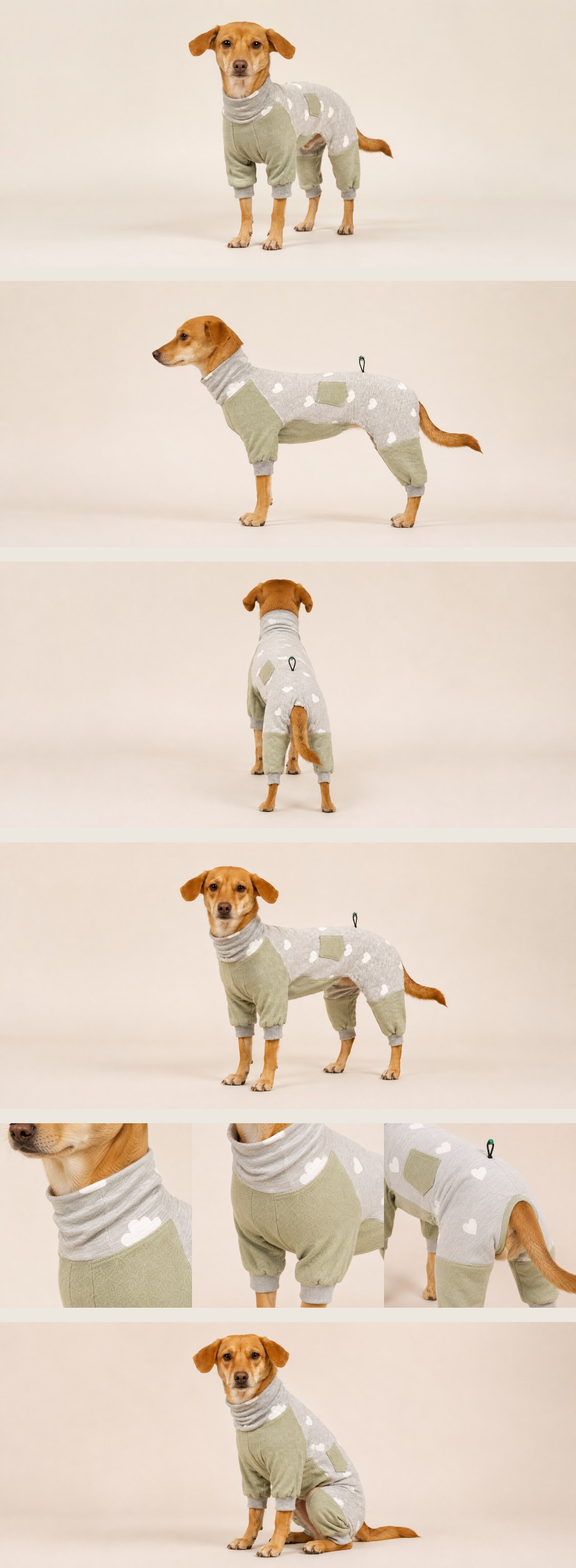 连体四脚衣(基础款)宠物纸样 — jumpsuit_stitched_1783074562230
