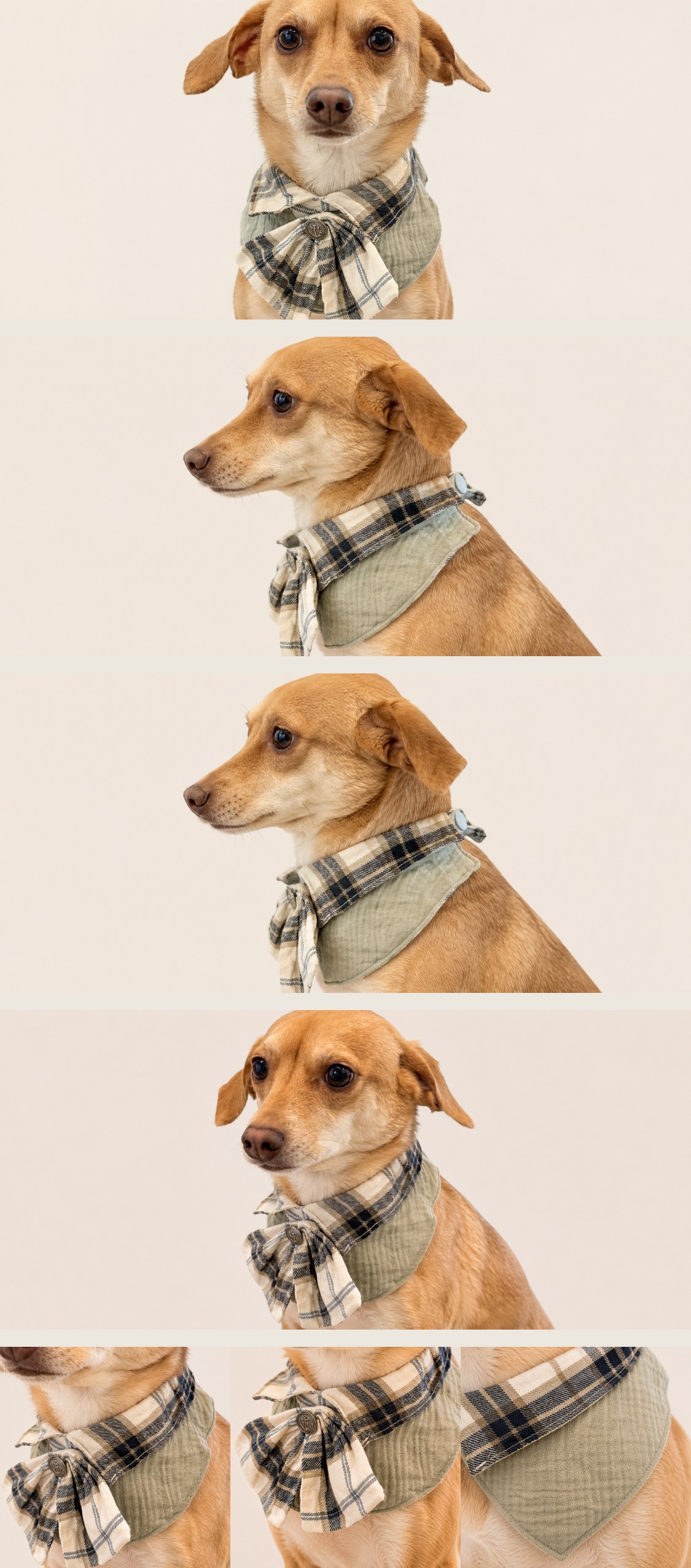 复古英伦风领结口水巾宠物纸样 — vintage_UK_Style_bib_stitched_1783574941233