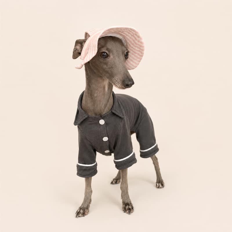 宠物防晒帽(基础款)宠物纸样 — select-basic_pet_sun_hat