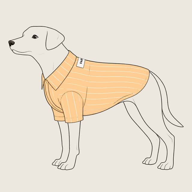 翻领休闲衬衫宠物纸样 — select-casualshirt-thumb